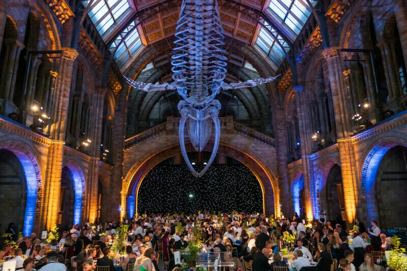 A large hall in London with a high arched ceiling features a whale skeleton suspended from above. Beneath it, numerous people are seated at tables, as captured by a skilled conference photographer. The hall is illuminated with warm lighting, highlighting the architectural details